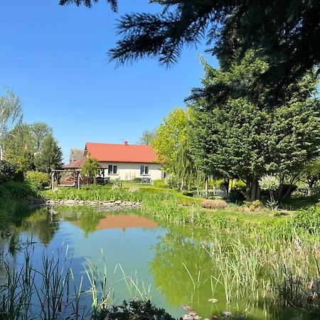 Agroturystyka Smulsko Przykona エクステリア 写真